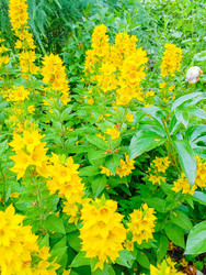 Similar image 22201793