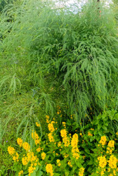 Similar image 22201795