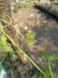 Similar image 22201796