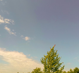 Similar image 22201799