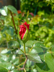 Similar image 22201800