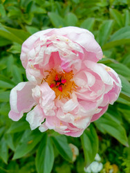 Similar image 22201803