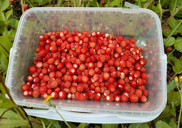 Similar image 22201804