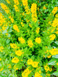 Similar image 22201809