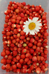 Similar image 22201810