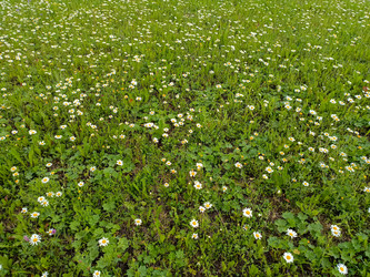 Similar image 22201814