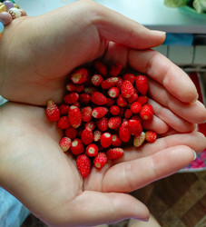 Similar image 22201816