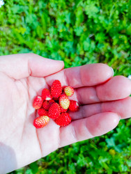 Similar image 22201817