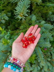 Similar image 22201818