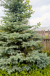 Similar image 22201820