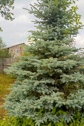 Similar image 22201821