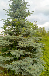 Similar image 22201822