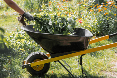 Similar image 22202022