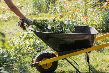 Similar image 22202023