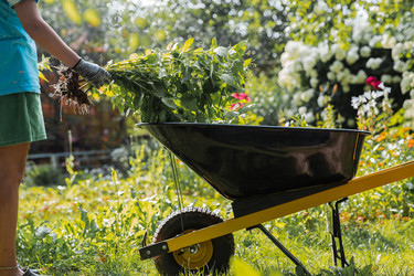 Similar image 22202024