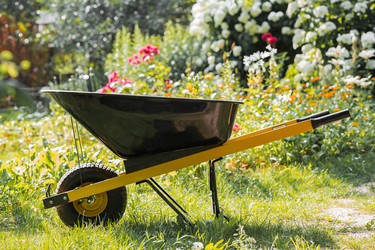 Similar image 22202025