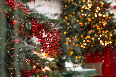 Similar image 22202026