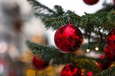 Similar image 22202028