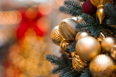 Similar image 22202034