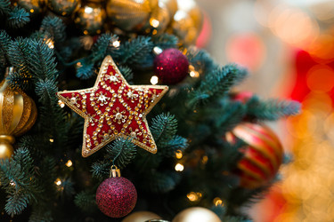 Similar image 22202037