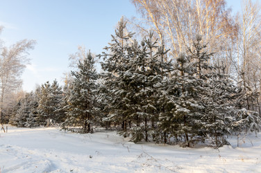 Similar image 22205897