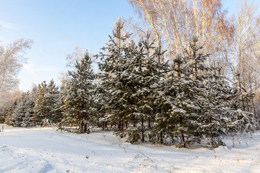 Similar image 22205900