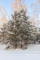 Similar image 22205903