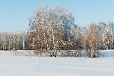 Similar image 22205904