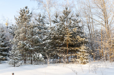 Similar image 22206062