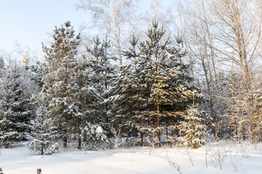 Similar image 22206064