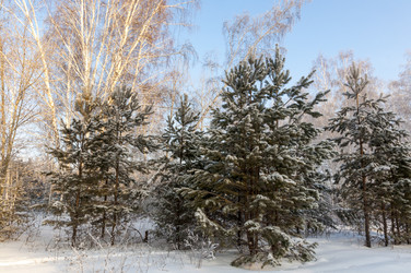 Similar image 22206065