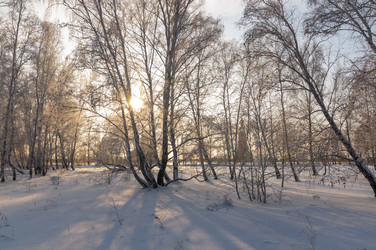 Similar image 22206068