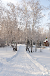 Similar image 22202059