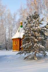 Similar image 22202093