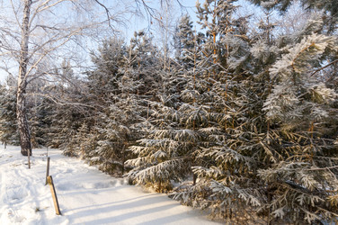 Similar image 22202094