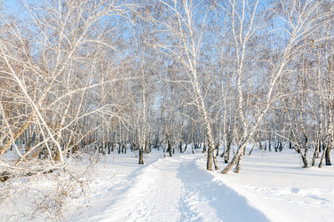 Similar image 22202095