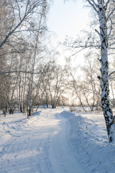 Similar image 22202097