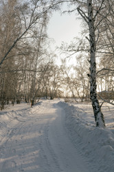 Similar image 22202099