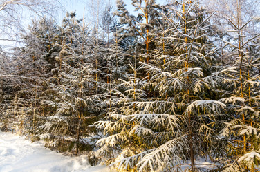 Similar image 22202100