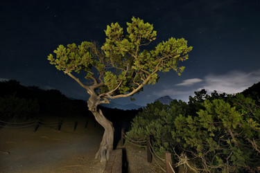 Similar image 22201731