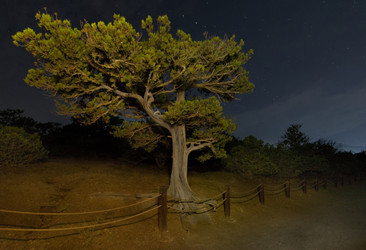 Similar image 22201733