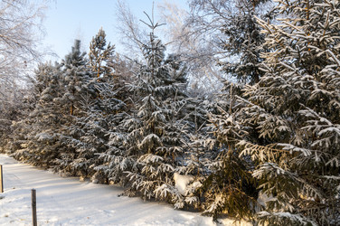 Similar image 22202832