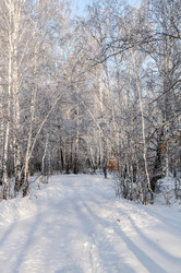 Similar image 22202834