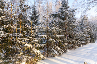 Similar image 22202835