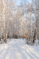 Similar image 22202836