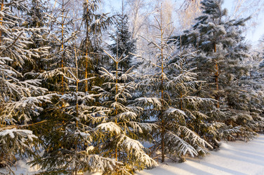 Similar image 22202838