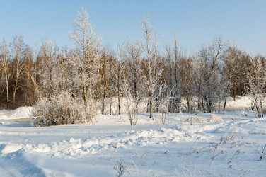 Similar image 22202842