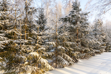 Similar image 22202843