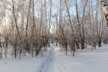 Similar image 22202848