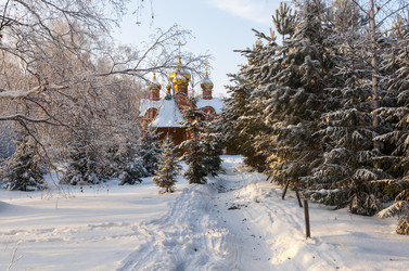 Similar image 22202850